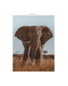 Ambassador African Elephant 1000 Pieces (Donal Boyd) - nr 2