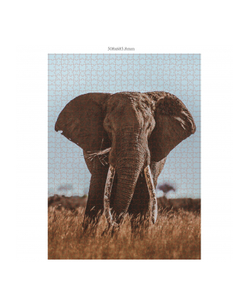 Ambassador African Elephant 1000 Pieces (Donal Boyd)