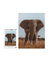 Ambassador African Elephant 1000 Pieces (Donal Boyd) - nr 3