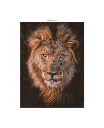 Ambassador Lion Head 1000 Pieces (Donal Boyd)