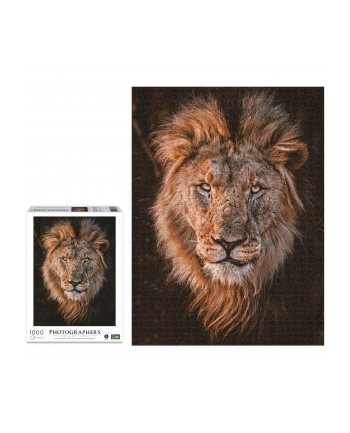 Ambassador Lion Head 1000 Pieces (Donal Boyd)