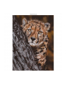 Ambassador Wildlife Families 3x 1000 Pieces (Donal Boyd) - nr 4