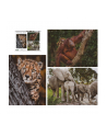 Ambassador Wildlife Families 3x 1000 Pieces (Donal Boyd) - nr 5