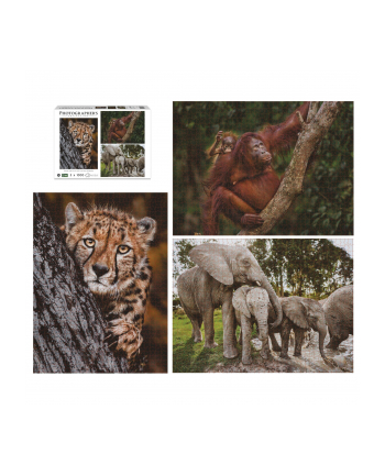 Ambassador Wildlife Families 3x 1000 Pieces (Donal Boyd)