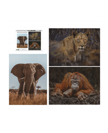 Ambassador Wildlife Eye Contact 3x 1000 Pieces (Donal Boyd)