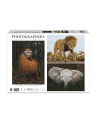 Ambassador Wildlife 3x1000 Pieces (Donal Boyd) - nr 1