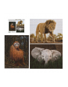 Ambassador Wildlife 3x1000 Pieces (Donal Boyd) - nr 5