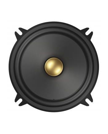 Pioneer TS-A1301C