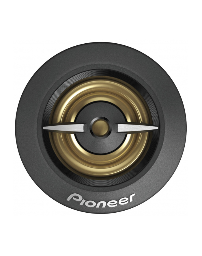 Pioneer TS-A301TW główny