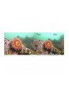 Sealife Ultra-Wide Angle Dome Lens     (SL052) - nr 5