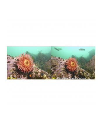 Sealife Ultra-Wide Angle Dome Lens     (SL052)