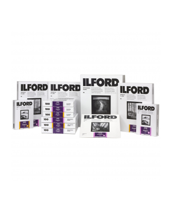 1x 50 Ilford MG RC DL  1M  40x50