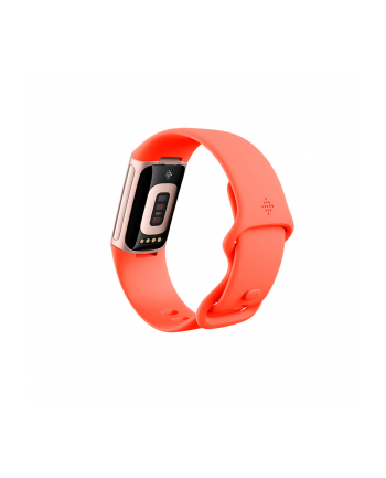 Fitbit Charge 6 coral band/champagne