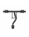 Fellowes Eppa Crossbar Monitor Arm Kolor: CZARNY - nr 7