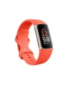 Fitbit Charge 6 coral band/champagne - nr 19