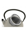 Bredemeijer Teapot Jang 1,1l Cast Iron grey + Filter 153019 - nr 4