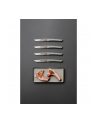 Berkel steak knife set 4-pcs. Color grey - nr 5