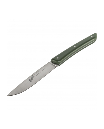 Berkel steak knife set 4-pcs. Color green