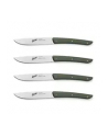 Berkel steak knife set 4-pcs. Color green - nr 3