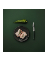 Berkel steak knife set 4-pcs. Color green - nr 4