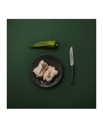 Berkel steak knife set 4-pcs. Color green