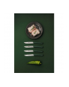 Berkel steak knife set 4-pcs. Color green - nr 5