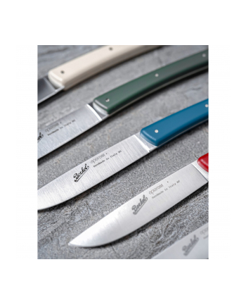 Berkel steak knife set 4-pcs. Color green