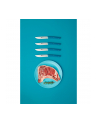 Berkel steak knife set 4-pcs. Color petrol blue - nr 5