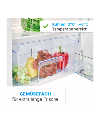 Bomann KS 7349 Fridge with freezer compartment