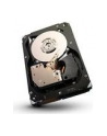 Dysk Seagate Cheetah 15K.7, 3.5'', 600GB, SAS, 15000RPM, 16MB cache - nr 39