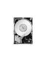 Dysk Seagate Savvio 10K.5, 2.5'', 300GB, SAS, 10000RPM, 64MB cache - nr 3