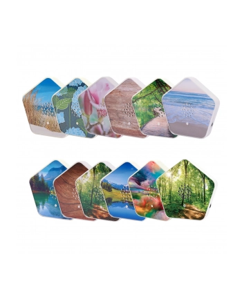olympia Olymp Nature BOX