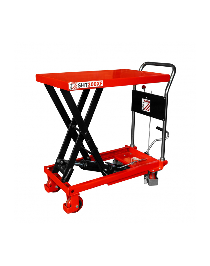 Holzmann SHT300XF Moveable Lifting Table główny