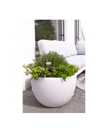 8seasons 8 seasons Shining Curvy Pot XM Solar