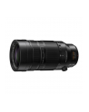 Panasonic LEICA DG 4-6,3/100-400 Power OIS - nr 18