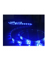 lite bulb moments LBM LED strip 2 x 5m RGB - nr 6