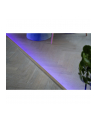 lite bulb moments LBM LED strip 2 x 5m RGB - nr 7