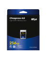 Wise CFexpress 4.0 Type A Mk-II 256GB             WI-CFX4-A256M2 - nr 3