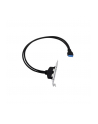 Conceptronic EMRICK11B 19-Pin Dual USB-Extension - nr 11