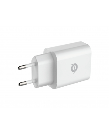 Conceptronic ALTHEA07W 1-Port 20W USB-C PD-Charger