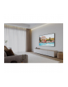 Samsung GU43DU8079UXZG - nr 66
