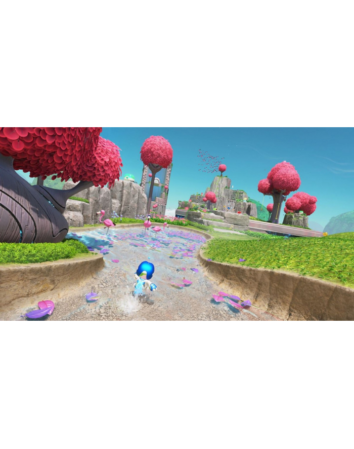 sony Gra PlayStation 5 Astro Bot główny