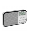 Technisat Techniradio RDR XL srebrny - nr 7