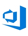 microsoft MS OVL-GOV Visual Studio Team Foundation Svr CAL License/Software Assurance Pk 1 License Additional Product User CAL 3Y-Y1 - nr 1