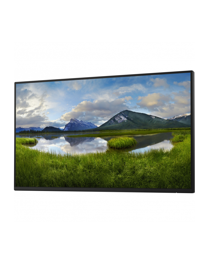 dell Monitor 23.8 cala P2425H WOST IPS 1920x1080/16:9/DP/HDMI/USBC/VGA/USB/3Y główny