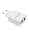 everactive Ładowarka sieciowa 3x USB 3,4A Iq smart charging Biała - nr 3