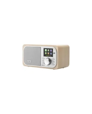 Gogen Radio internetowe z Bluetooth IR237BT DAB+