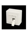 LogiLink NP0006A LogiLink NP0006A gniazdo natynkowe kat6 2xRJ45 ekranowane - nr 1
