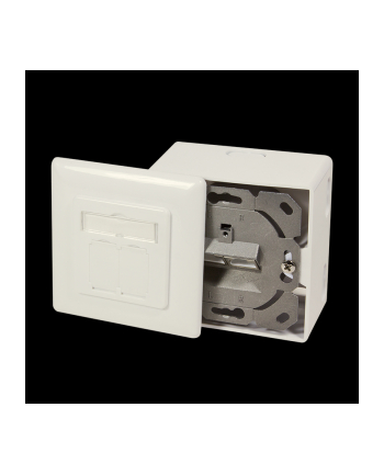 LogiLink NP0006A LogiLink NP0006A gniazdo natynkowe kat6 2xRJ45 ekranowane
