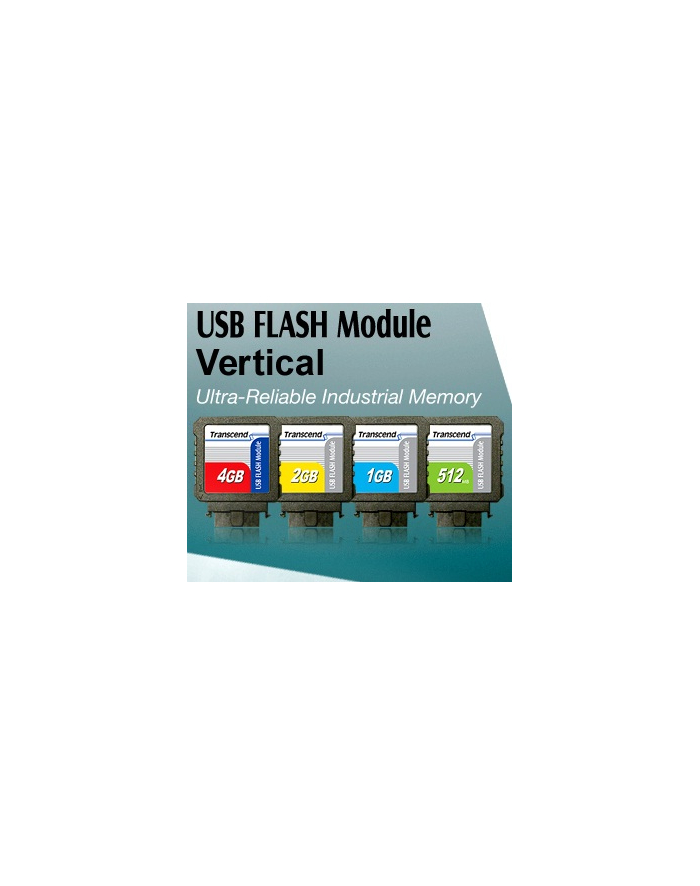 2GB USB Flash Module (Vertical) główny